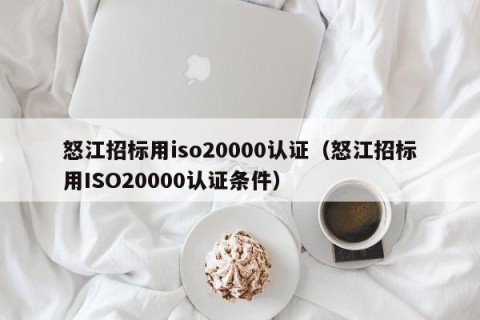 怒江招标用iso20000认证（怒江招标用ISO20000认证条件）