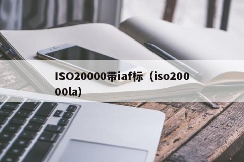 ISO20000带iaf标（iso20000la）