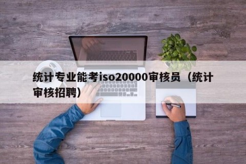 统计专业能考iso20000审核员（统计审核招聘）