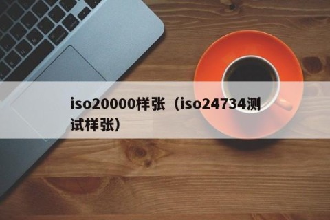 iso20000样张（iso24734测试样张）