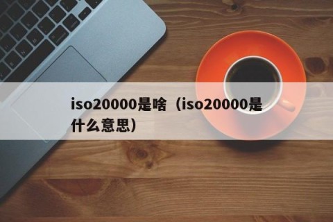 iso20000是啥（iso20000是什么意思）