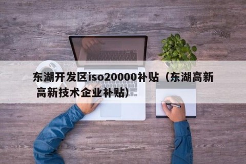 东湖开发区iso20000补贴（东湖高新 高新技术企业补贴）