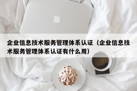 企业信息技术服务管理体系认证（企业信息技术服务管理体系认证有什么用）