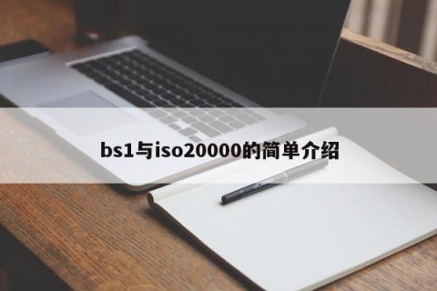 bs1与iso20000的简单介绍