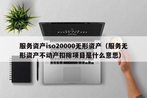 服务资产iso20000无形资产（服务无形资产不动产扣除项目是什么意思）