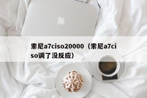 索尼a7ciso20000（索尼a7ciso调了没反应）