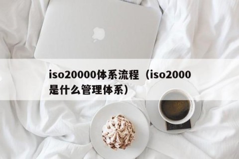 iso20000体系流程（iso2000是什么管理体系）