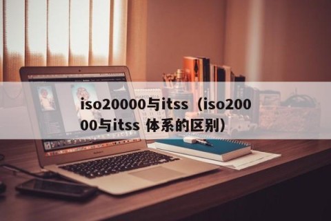 iso20000与itss（iso20000与itss 体系的区别）