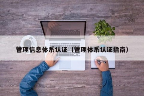 管理信息体系认证（管理体系认证指南）