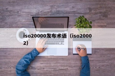 iso20000发布术语（iso20002）