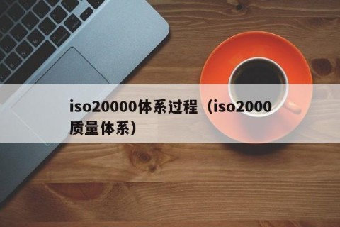 iso20000体系过程（iso2000质量体系）