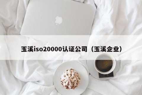 玉溪iso20000认证公司（玉溪企业）
