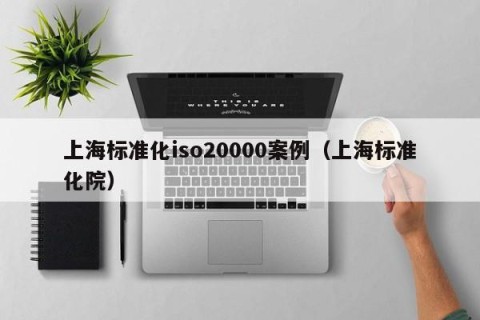上海标准化iso20000案例（上海标准化院）