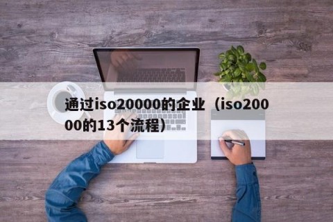 通过iso20000的企业（iso20000的13个流程）