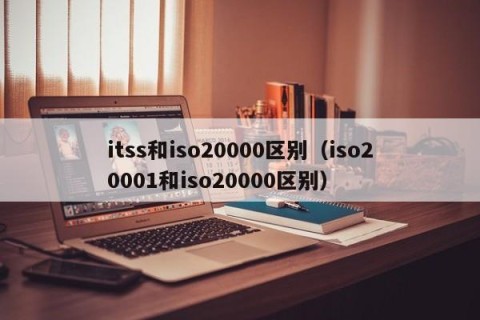 itss和iso20000区别（iso20001和iso20000区别）