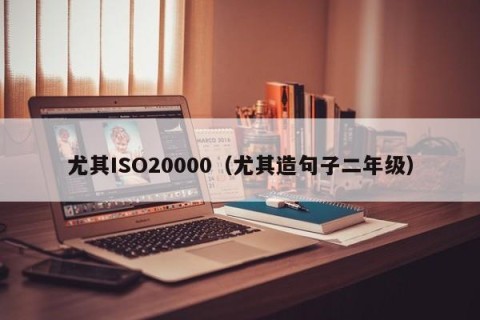 尤其ISO20000（尤其造句子二年级）