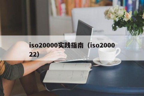 iso20000实践指南（iso200022）