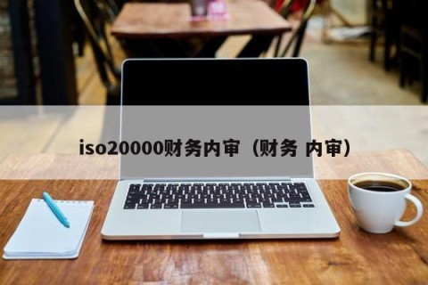 iso20000财务内审（财务 内审）