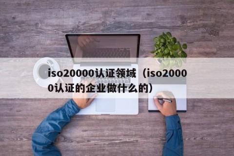 iso20000认证领域（iso20000认证的企业做什么的）