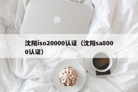 沈阳iso20000认证（沈阳sa8000认证）