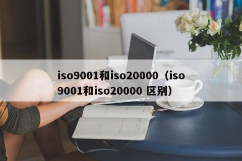 iso9001和iso20000（iso9001和iso20000 区别）